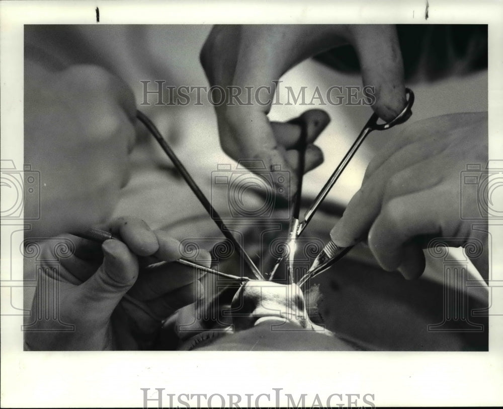 1986 Press Photo Careful cutting around the nose - cva66277 - Historic Images