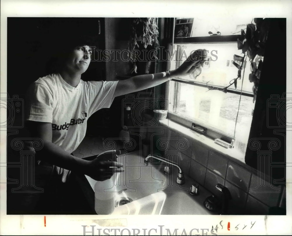 1989 Press Photo Budget Butler Mary Hitchock Washing Window - cva66326 - Historic Images