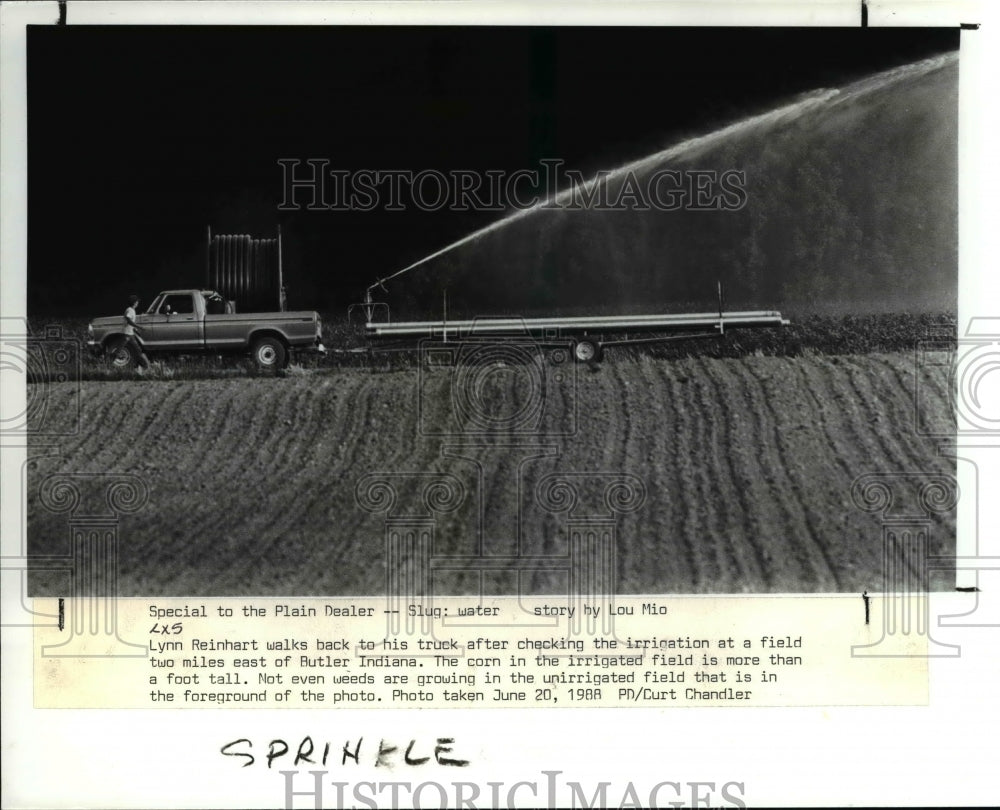 1988 Press Photo Lynn Reinhart at the corn field-Historic Images