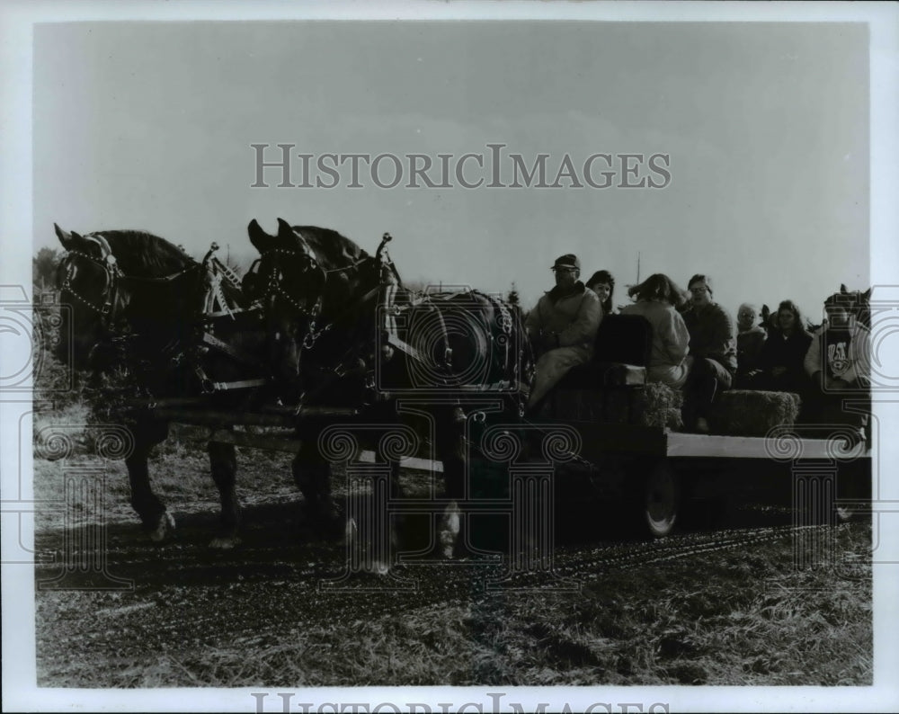 1992 Press Photo People on a Hayride - Historic Images