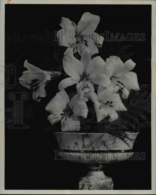 1961, Planting Lillies - Historic Images