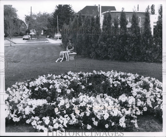 1970 Press Photo The mini park at Cedar and Taylor Roads - Historic Images