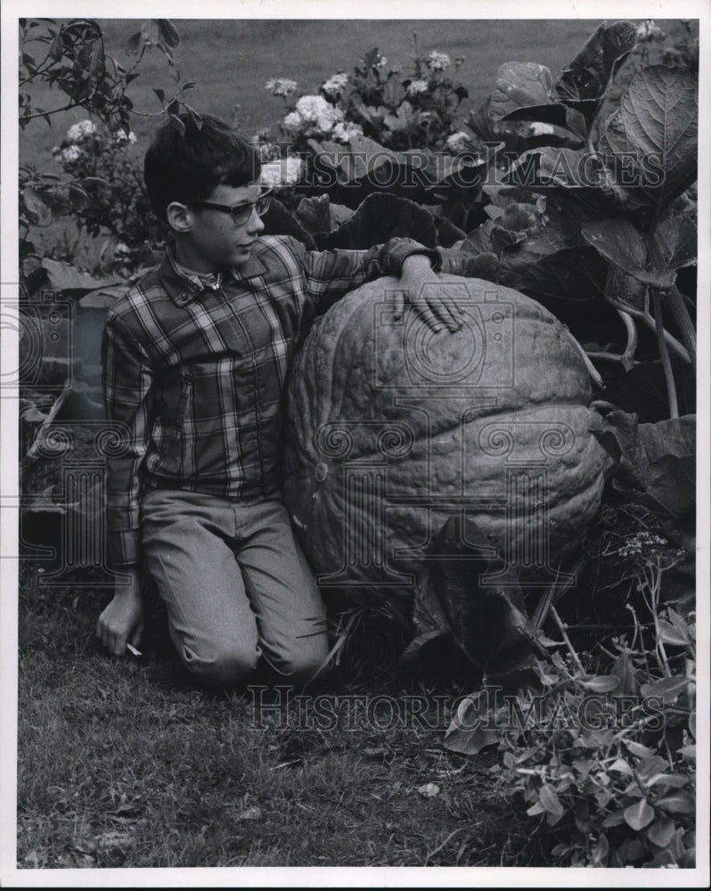1970, Paul Zamecnik on Pumpkins - Historic Images