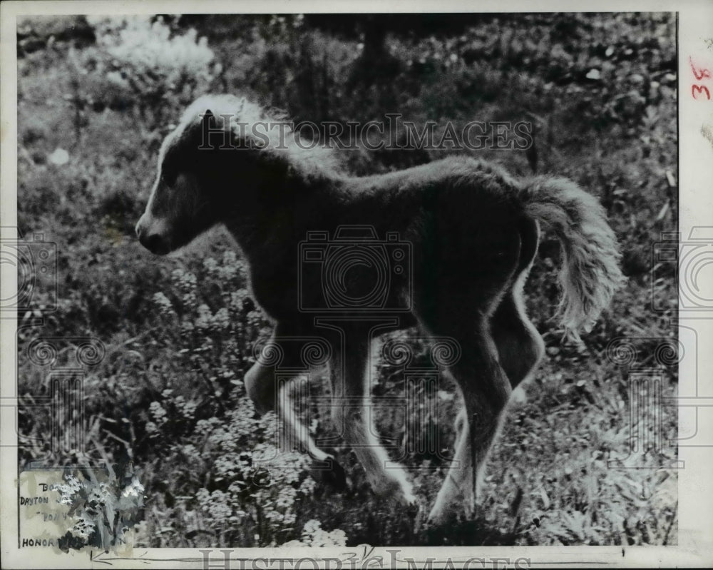 1968 Press Photo 1967 Best Ohio News Photo - Historic Images