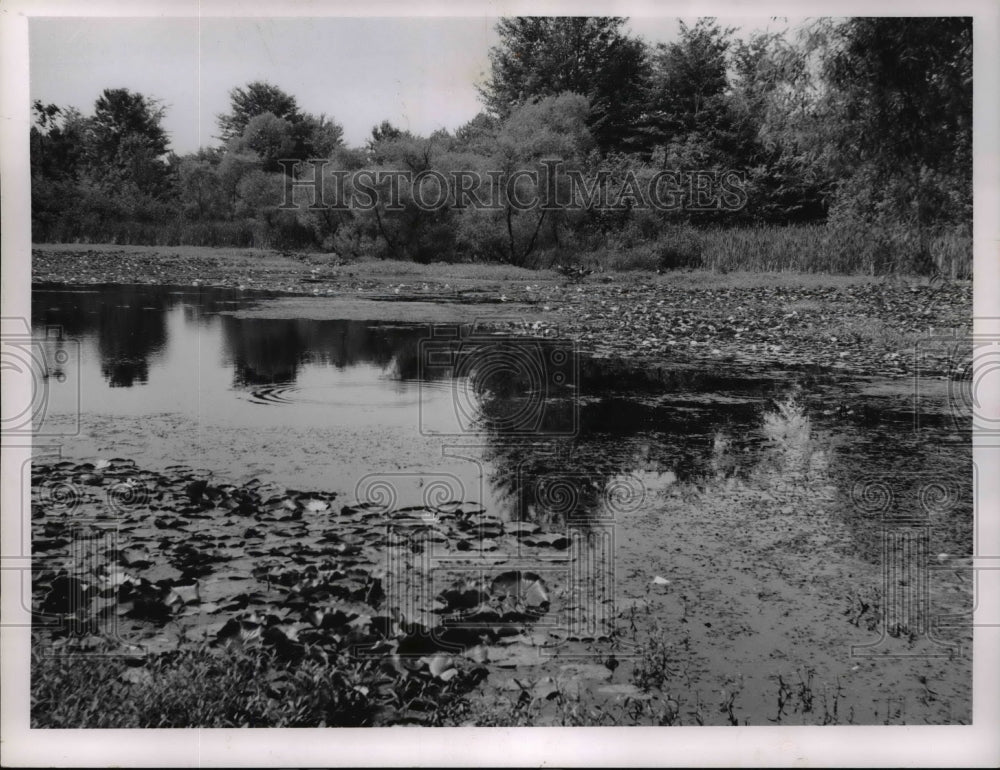 1962 Press Photo The Sunset Pond at North Chagrin Metropolitan Parks - Historic Images