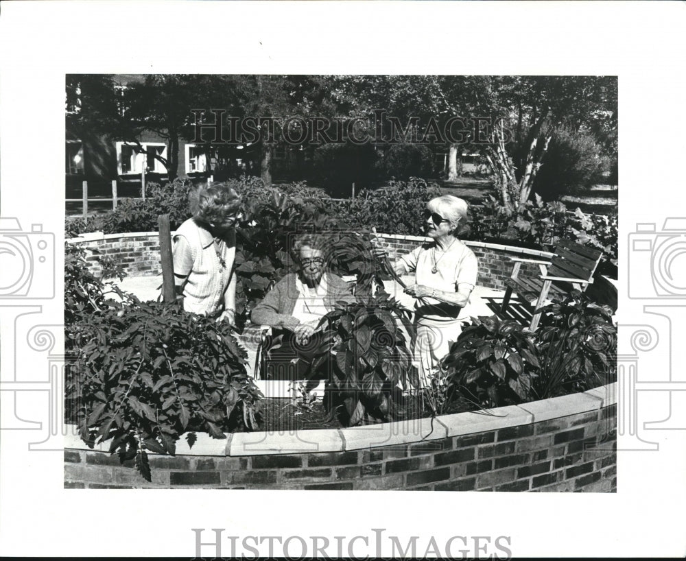 1985 Press Photo Sarah Pynchon, Margaret Aridley and Helen Brown - Historic Images