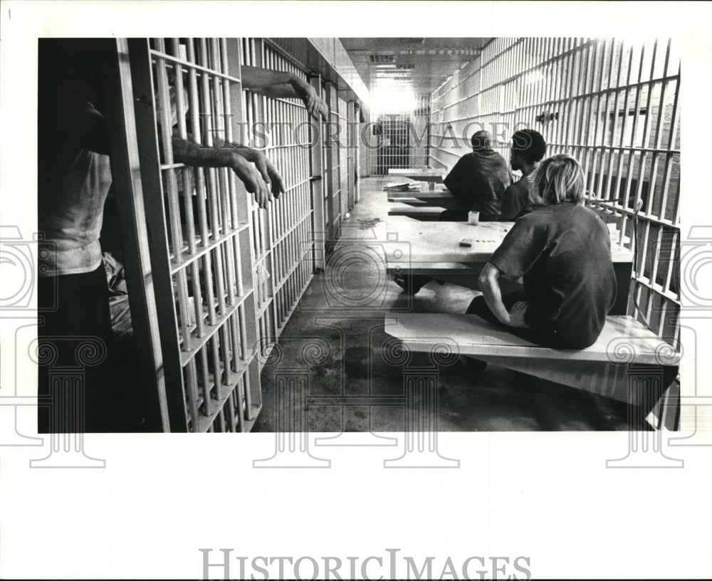 1985 Press Photo Inmates of the Painsville City Jail, All beds were full - Historic Images