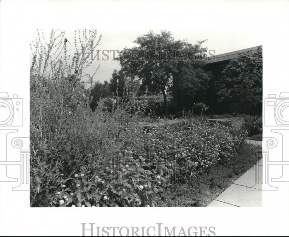 1984 Press Photo Garden Center Herb Garden - Historic Images