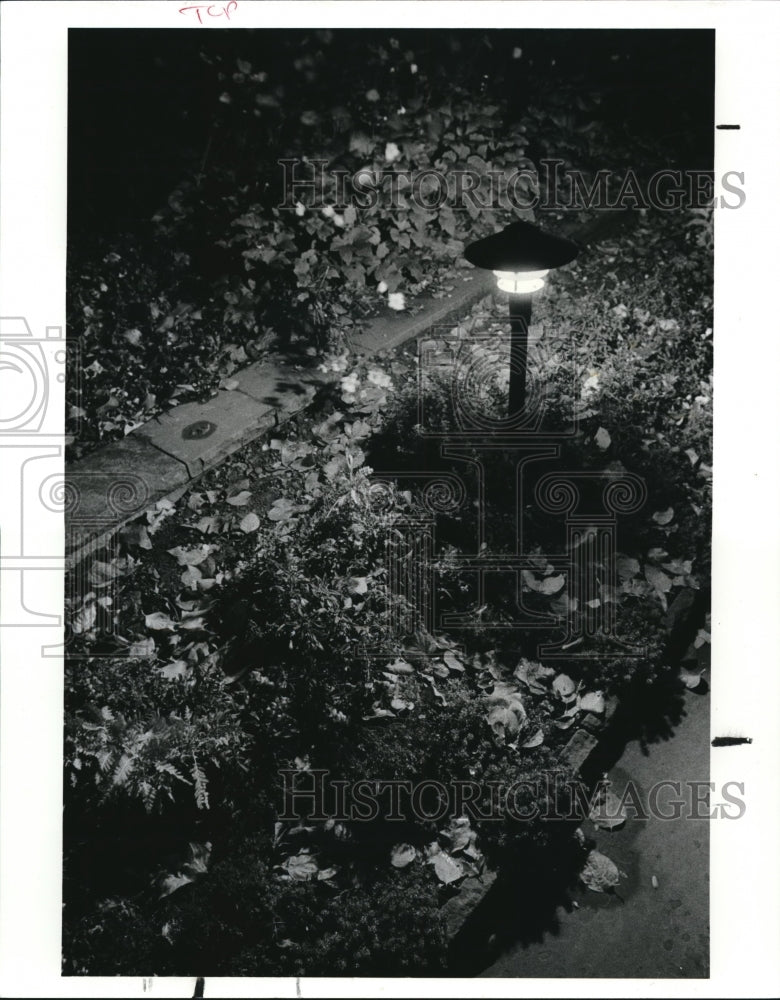 1987 Press Photo Garden Center of Greater Cleveland Night Lighting in Garden-Historic Images