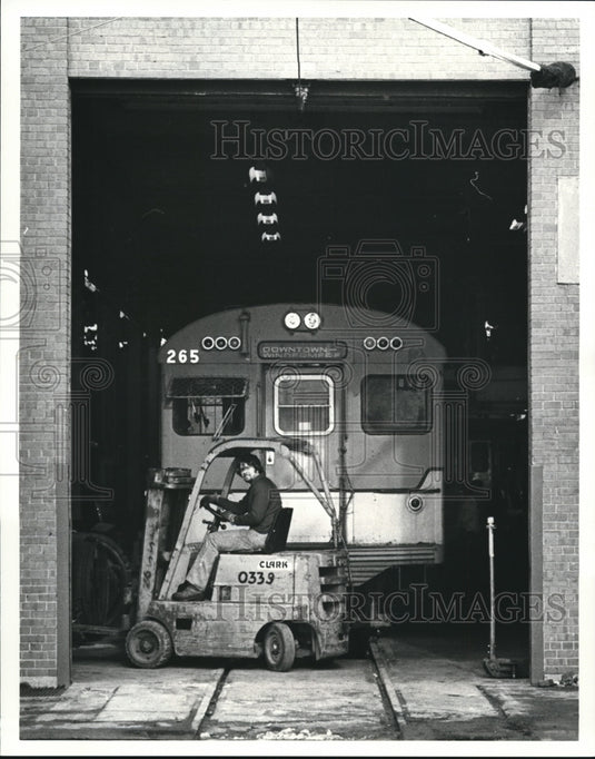 1981 Press Photo The RTA cars - Historic Images