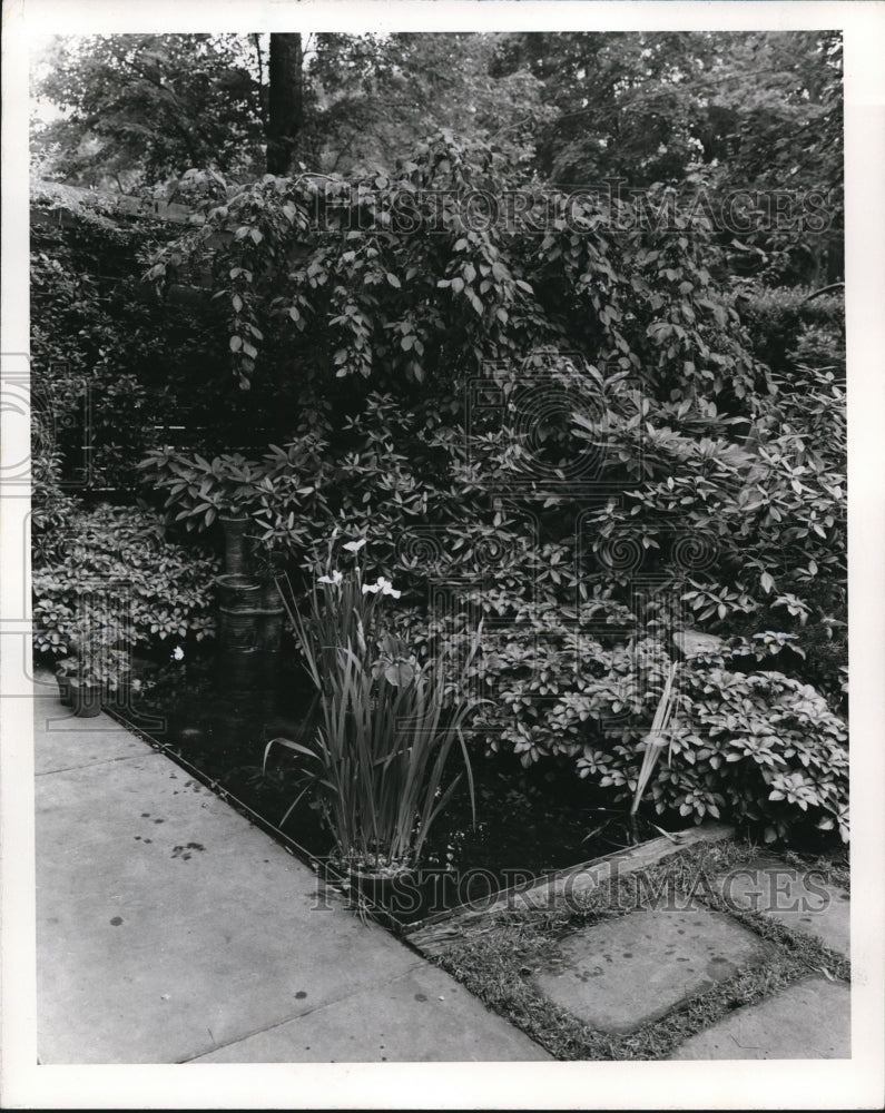 1976 Press Photo The pond at Mr. and Mrs. Charles Robins&#39; home - Historic Images