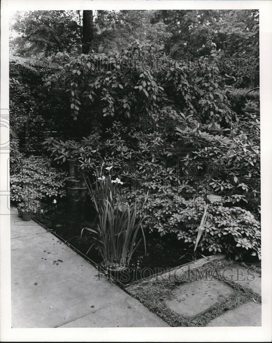 1976 Press Photo The pond at Mr. and Mrs. Charles Robins' home - Historic Images