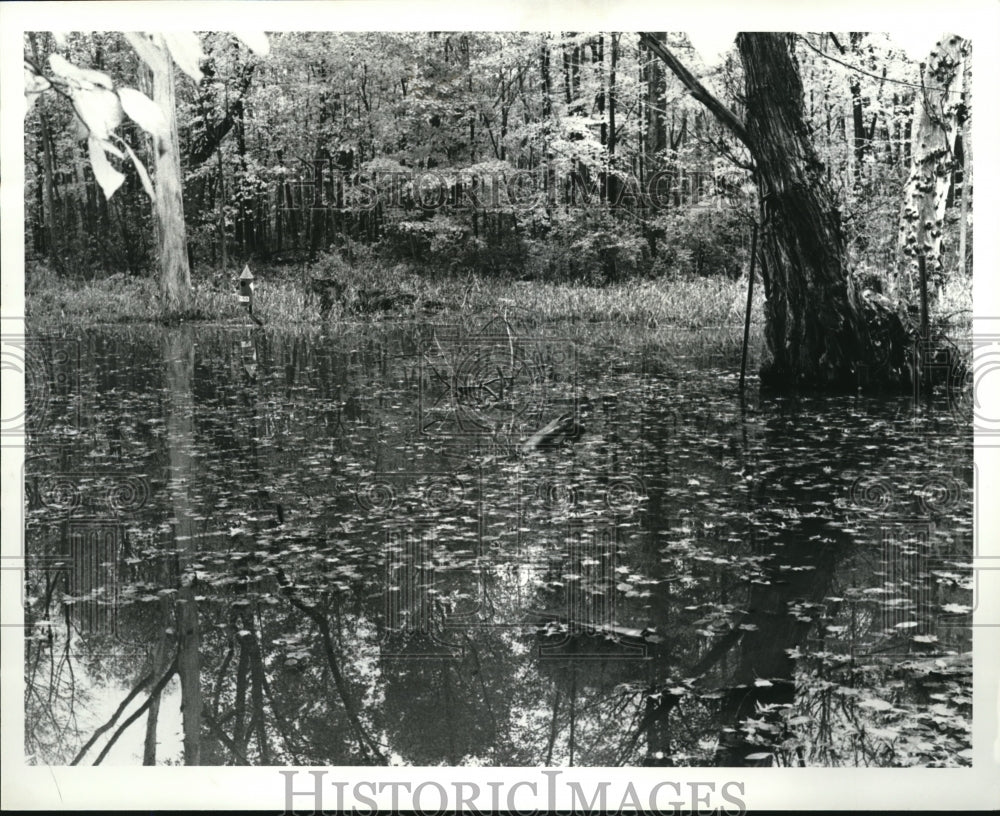 1983 Press Photo The Metro Park's Rocky River - Historic Images