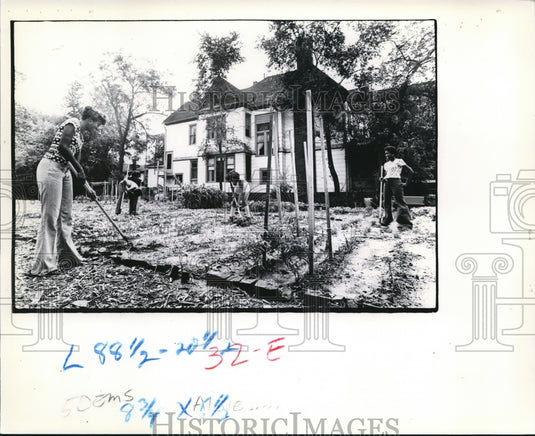 1977 Press Photo Cooperation & stick-to-itiveness what it takes to grow crops - Historic Images