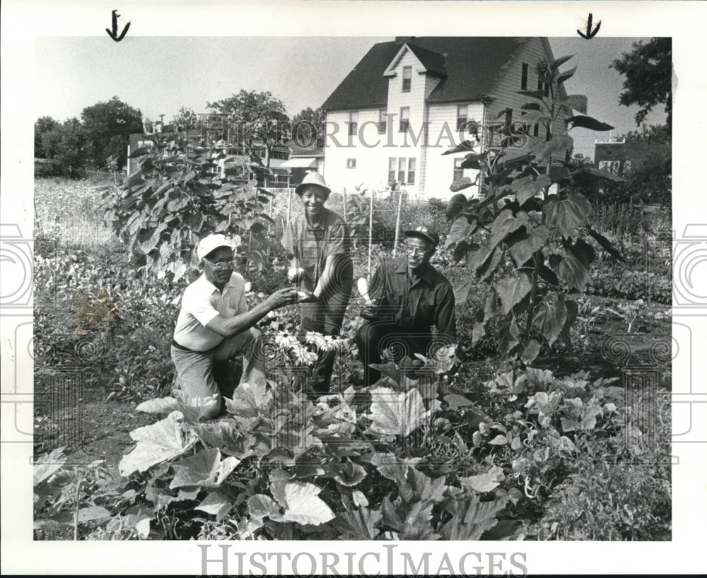 1985 Press Photo Community Garden on Lawnview Rd with James Jones, Alice McNight - Historic Images
