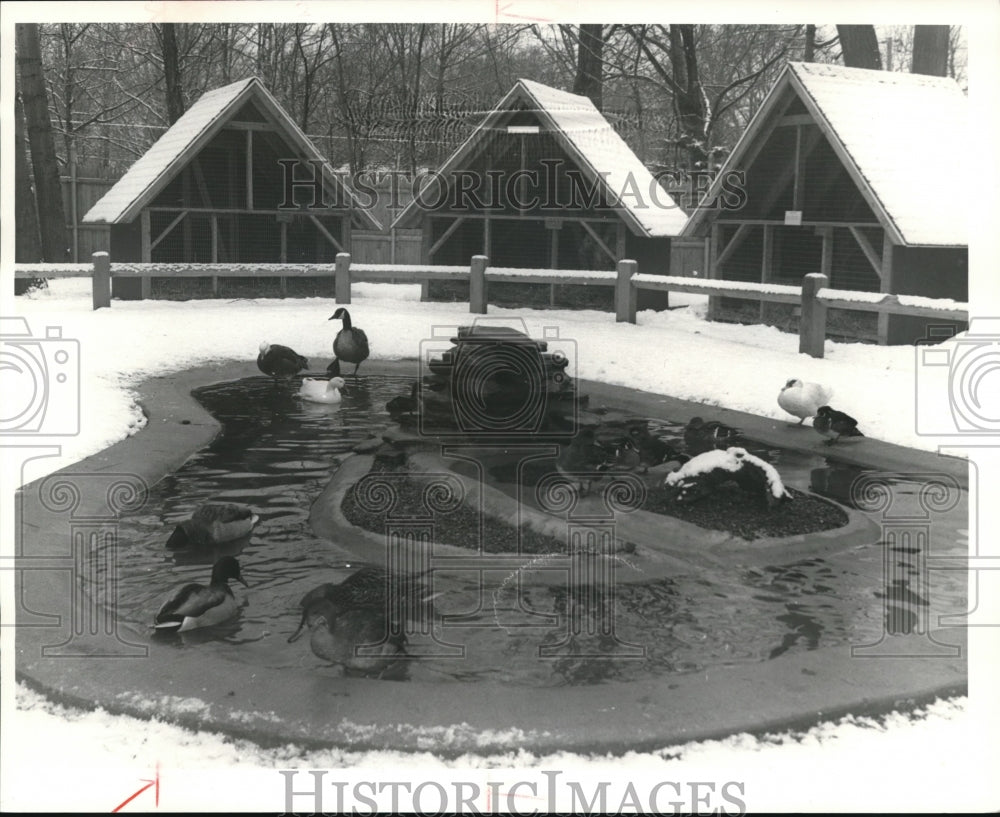 1981 Press Photo Lake Erie Nature & Science Center - cva73444-Historic Images