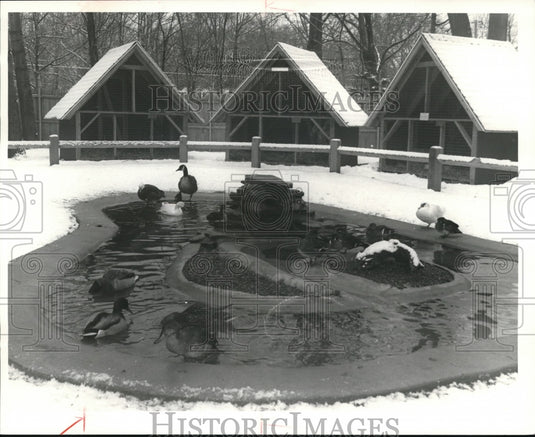 1981 Press Photo Lake Erie Nature & Science Center - cva73444-Historic Images