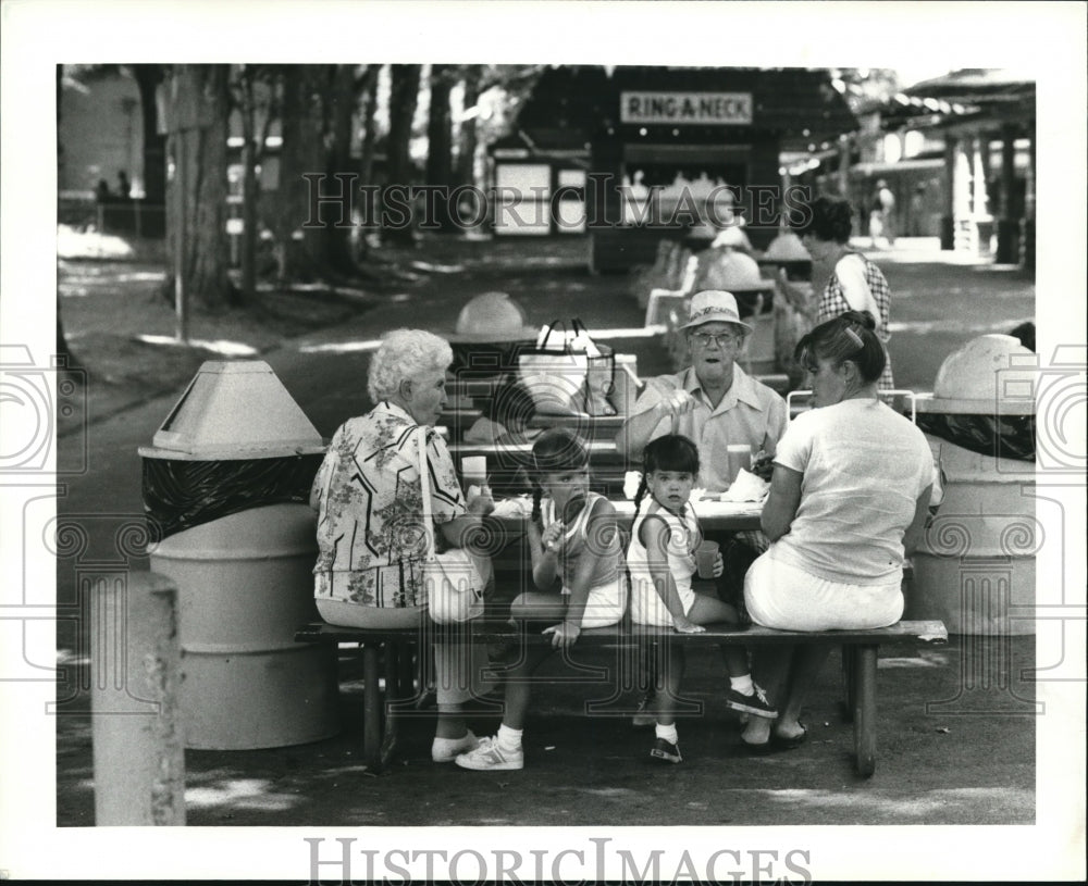 1981 Press Photo Conneaut Lake Park - Historic Images