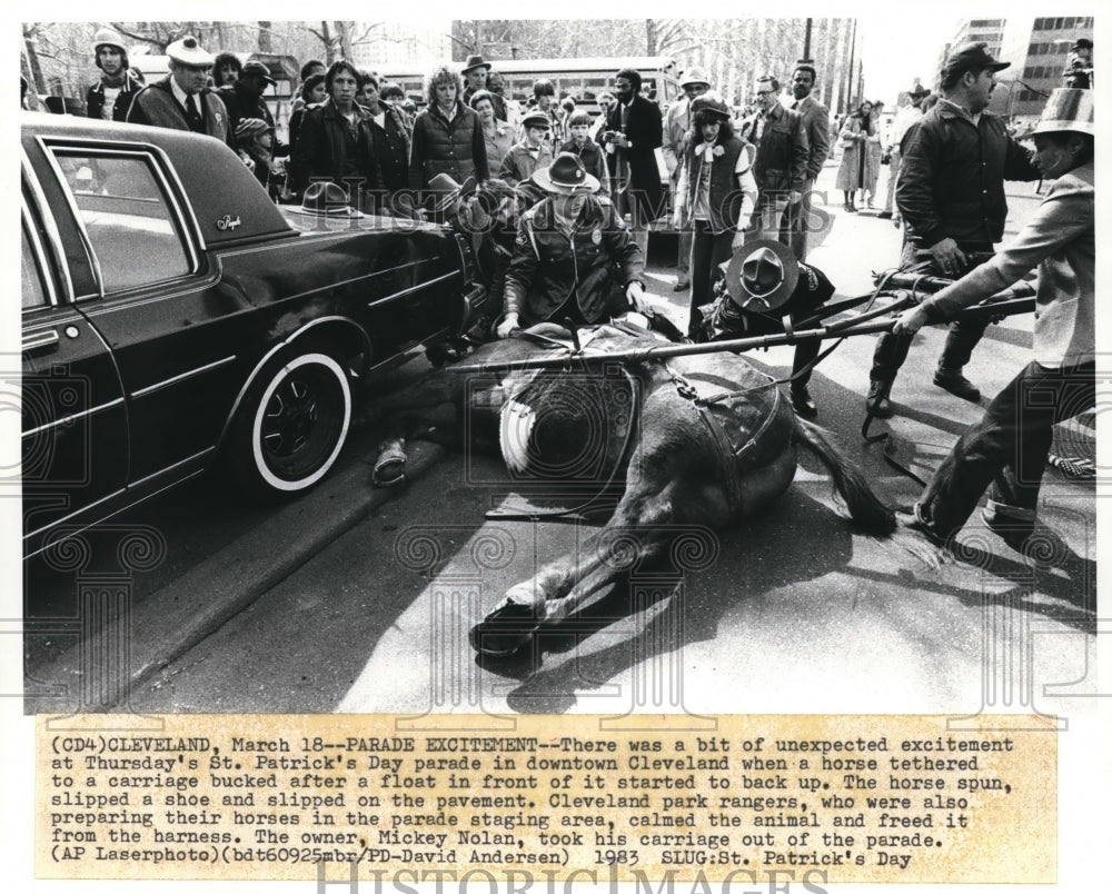 1983 Press Photo Horse tethered to a carriage bucked during St Patrick&#39;s Parade - Historic Images