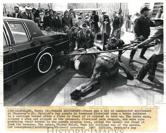 1983 Press Photo Horse tethered to a carriage bucked during St Patrick's Parade - Historic Images