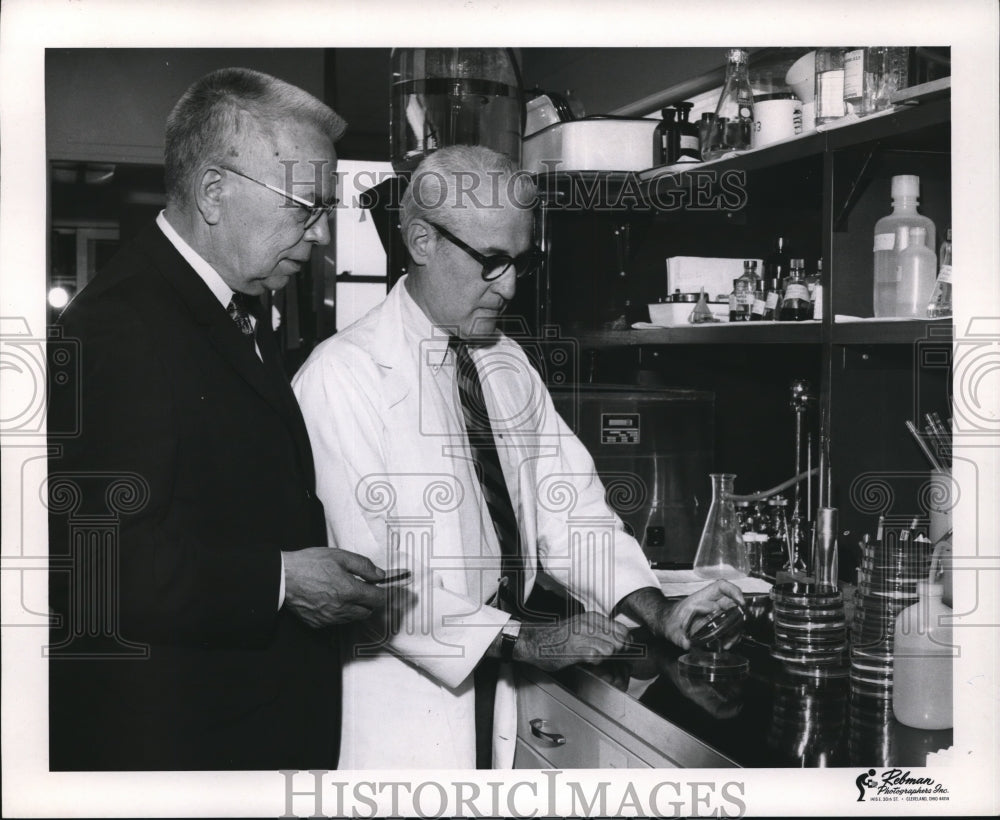 Press Photo Robert Pfleger &amp; Williard Schmidt examine rheumatic fever cultures - Historic Images