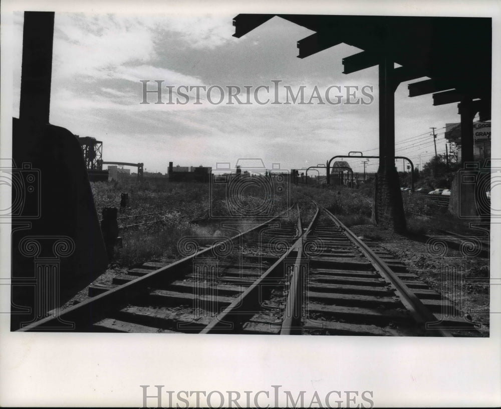 1972 Press Photo Weeds growing along unused Amtrak tracks - cva75421-Historic Images