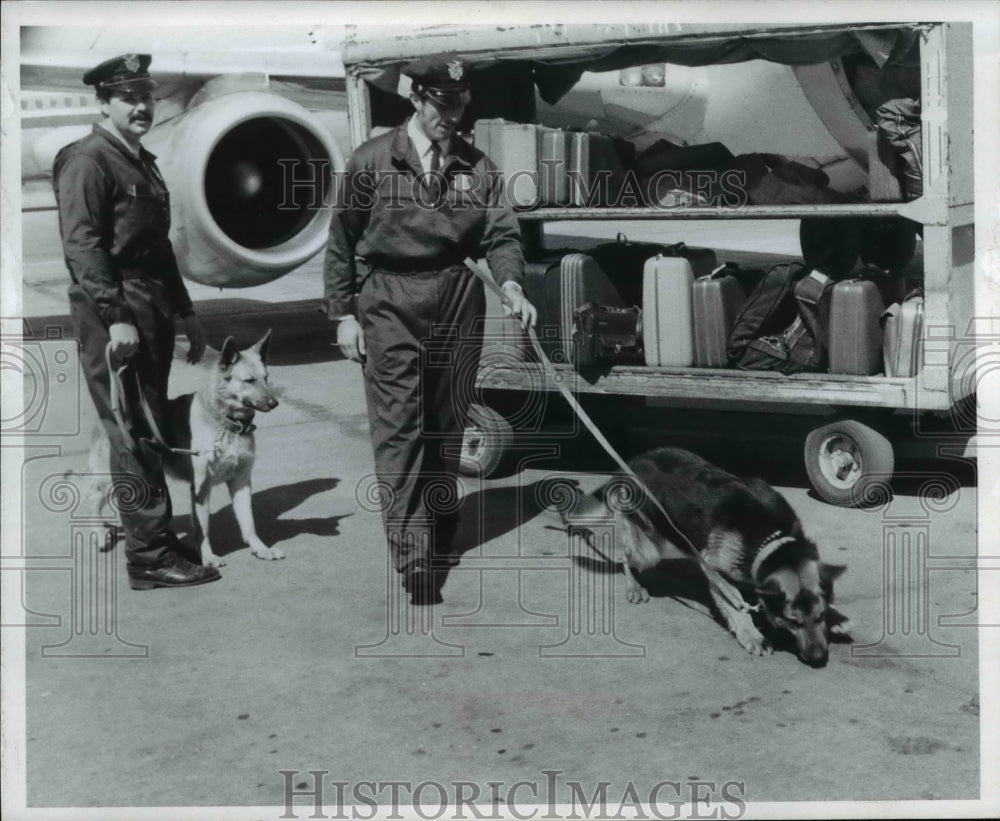 1973 Press Photo Dogs used to sniff out bombs in aircraft - cva75906 - Historic Images
