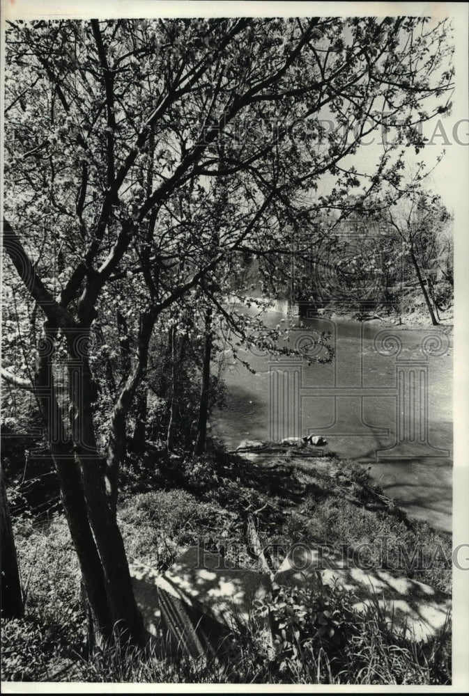 1981 Press Photo Chagrin River at the Dodd Road Area - cva76367 - Historic Images