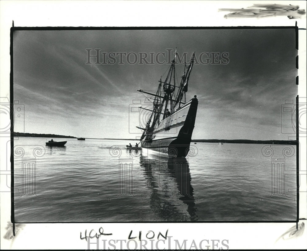 1988 Press Photo Sea Lion - Historic Images