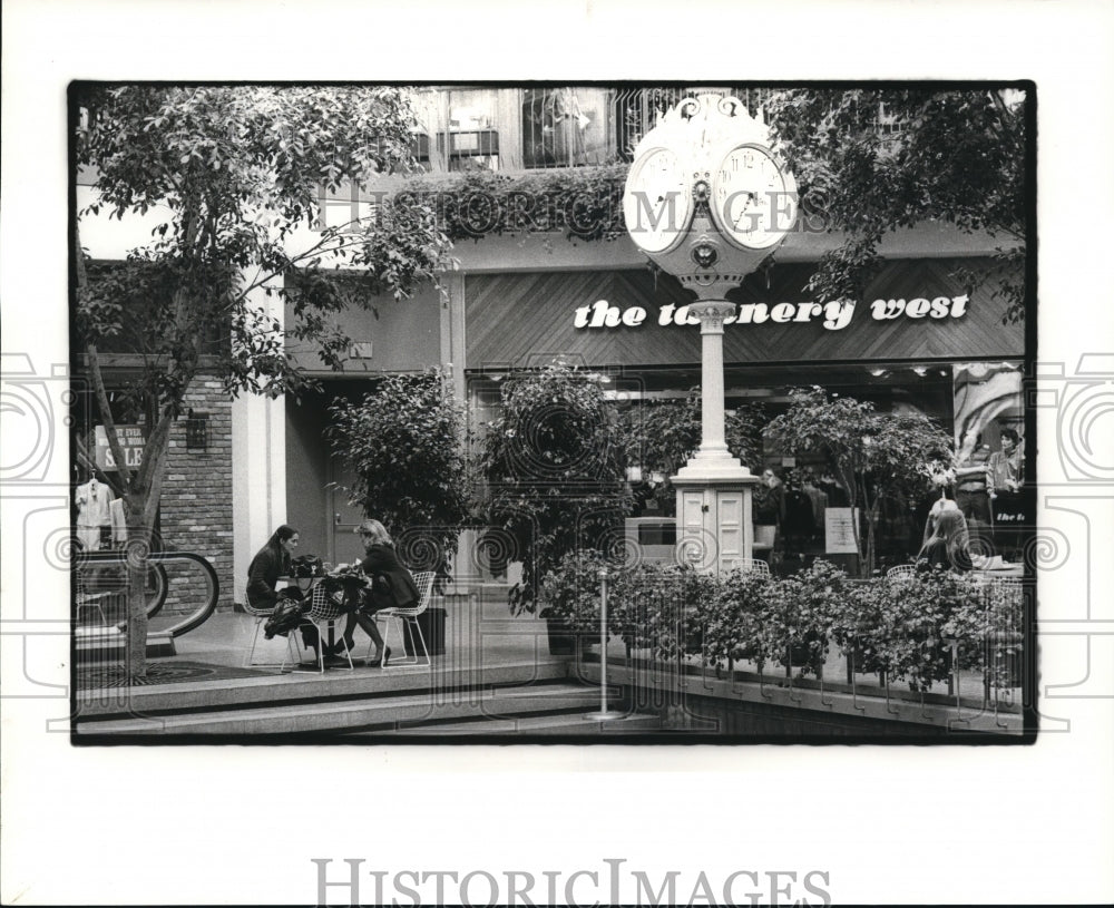 1982 Press Photo The Beechwood Place - Historic Images