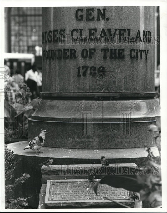 1981 Press Photo Moses Cleveland Statue on Public Square with birds - Historic Images