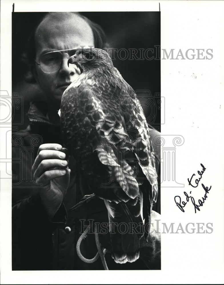 1984 Press Photo Harvey Webster with the History Museums Red Tailed Hawk - Historic Images