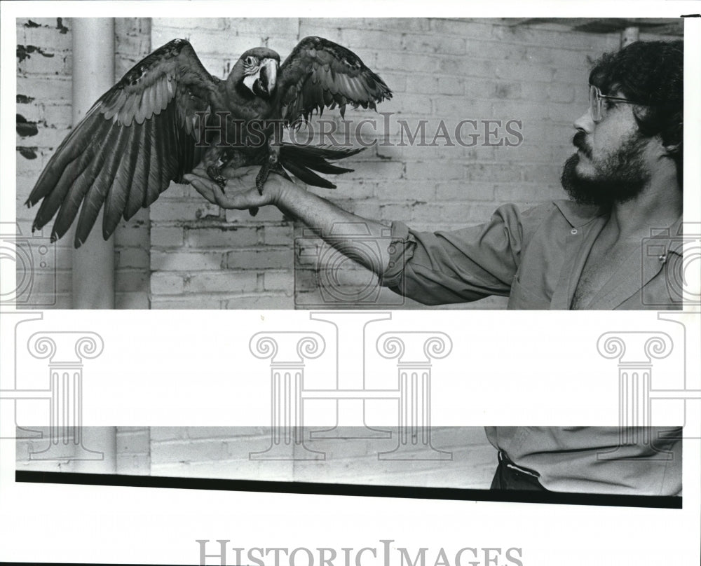 1988 Press Photo Catalina Macaw w/ keeper Tony Massa - Historic Images