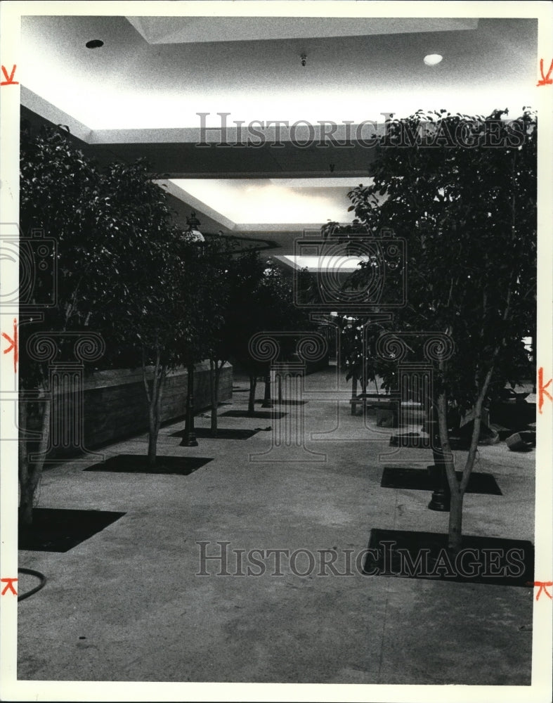 1981 Press Photo Shopping centers - Historic Images