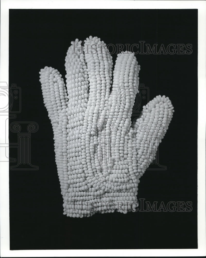 1983 Press Photo White Maize Glove by Glen Kaufman - Historic Images