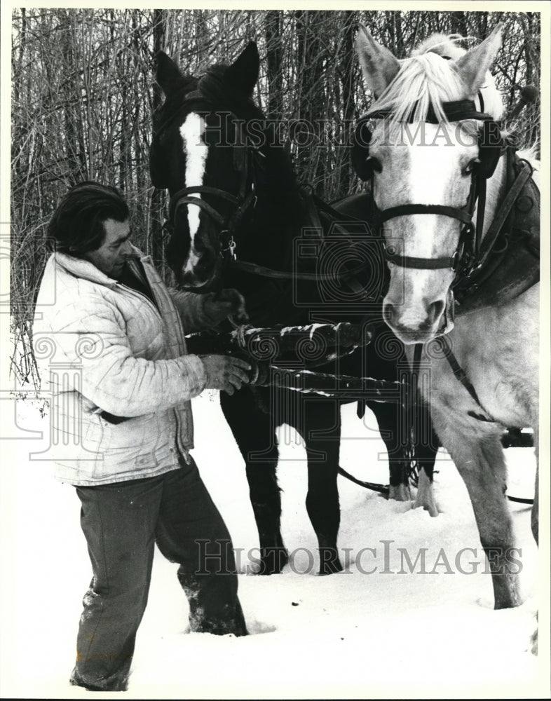 1982 Press Photo Fred Schneider makes some adjustments to the horse harnessing - Historic Images