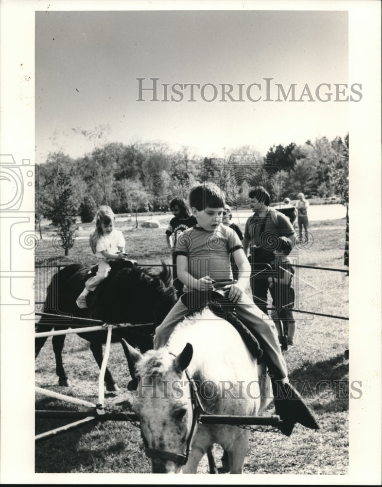 1985 Press Photo Lake Metroparks Summer Festival - Historic Images