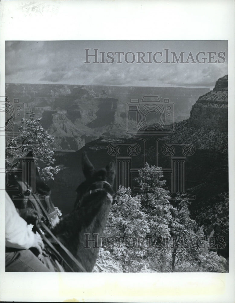 Press Photo National Park, Grand Canyon - cva78678 - Historic Images