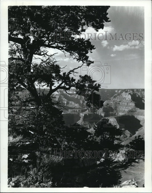 the Grand Canyon at Arizona Commemorats 47th Birthday  - Historic Images