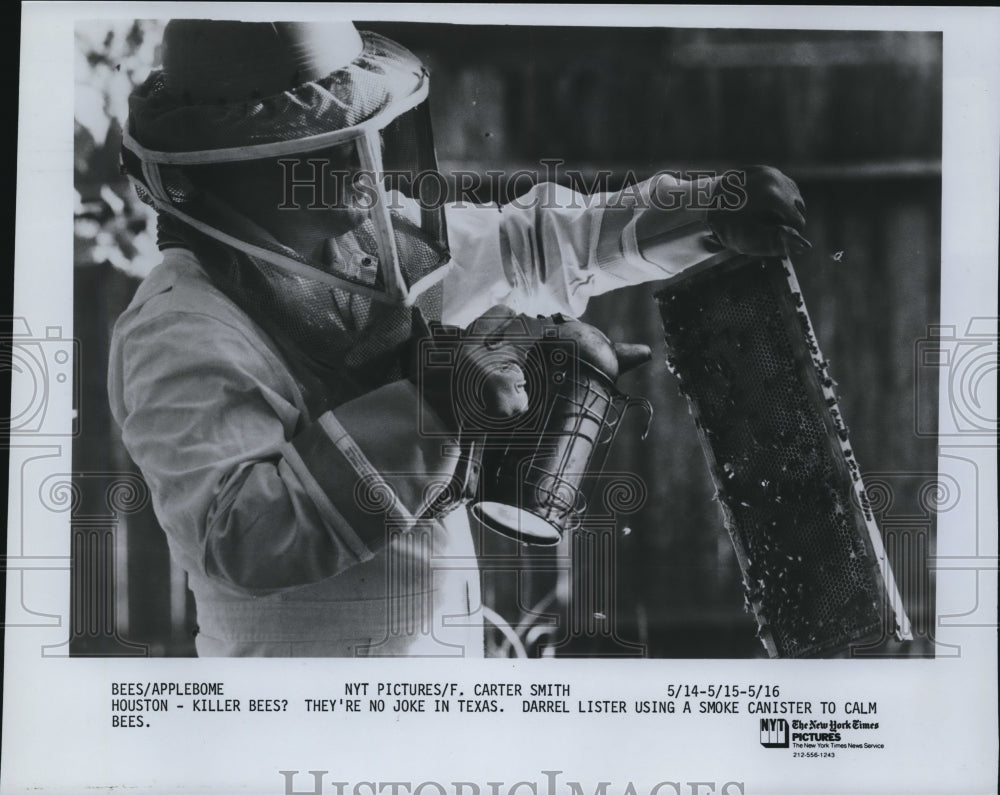 1988 Press Photo The Houston killer bees in Texas - Historic Images