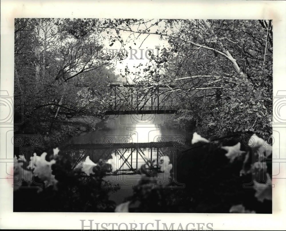 1985 Press Photo Flowers still in bloom in a flower box on the bridge over the - Historic Images