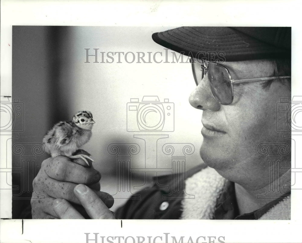 1987 Press Photo The Peasant chick - Historic Images