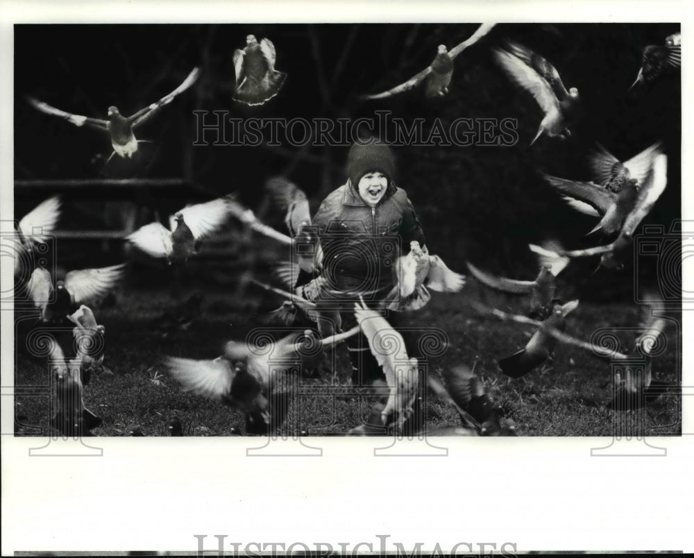 1988 Press Photo Vincent Piet chases pigeons at Wildwood Park - Historic Images