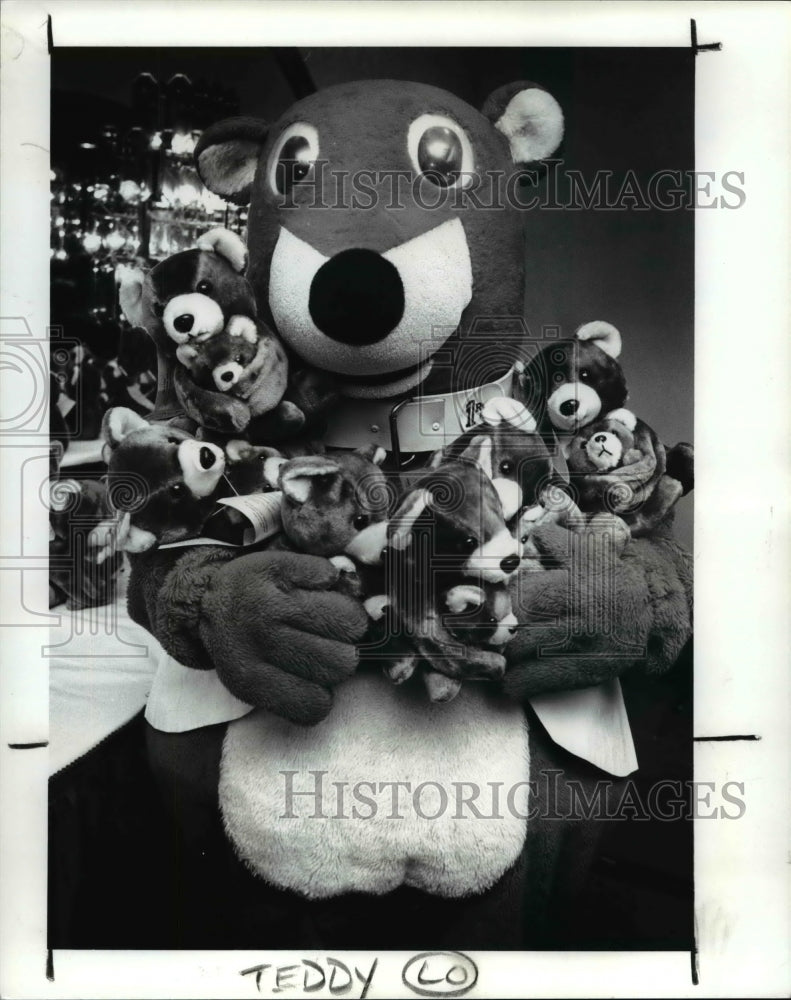 1989 Press Photo Anita Campbell dressed as Hugun bears and arm full of bears - Historic Images