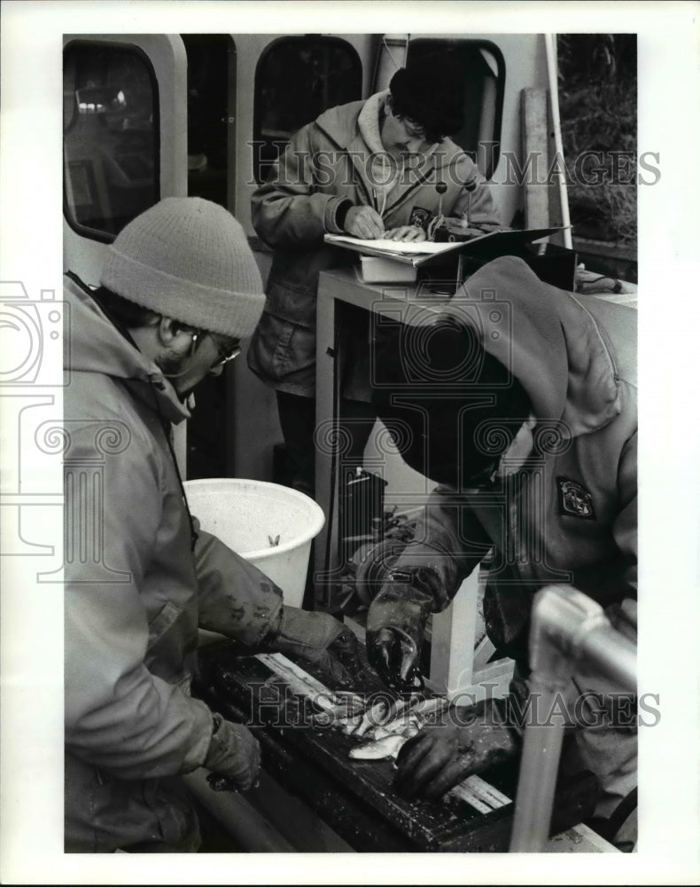 1987 Press Photo Mac Blouin and Mike  mac Gizzard shad - Historic Images