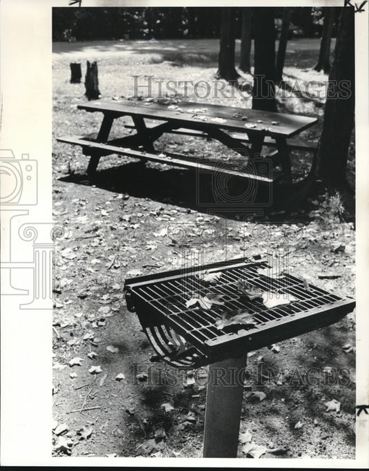 1982 Press Photo The Falling Leaves at Chaplin Forrest Lake County Metro Park - Historic Images