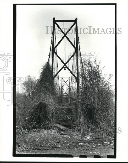1988 Press Photo Lost & forgotten bridges,Sidaway suspension bridge - Historic Images