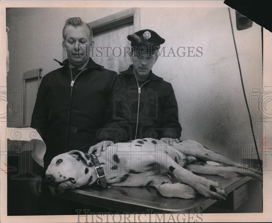 1939 Mascot Rit by Robert Smokey with Robert & Balke, T. M. Grimmett - Historic Images