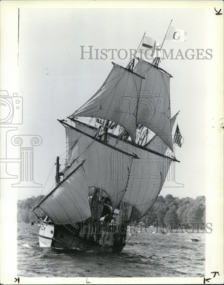 1989 Press Photo Sea Lion on Chantangua Lake - Historic Images