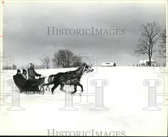 1982 Press Photo This one-horse open sleigh, a Jump-seat cutter - Historic Images